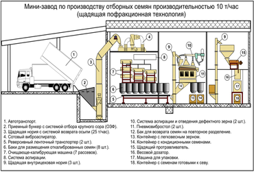 Мини-завод по производству отборных семян производительностью 10т/ч